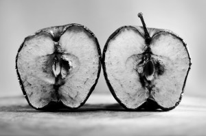 April 'Decay' Photo Comp Winner Announced